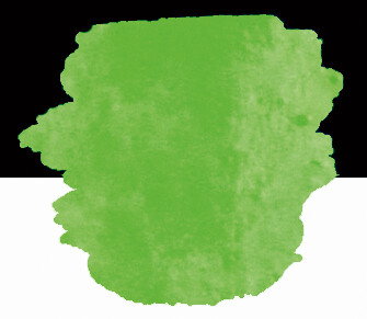 Finetec FINETEC® Premium pastilla de acuarela neón Verde Finetec FINETEC® Premium pastilla de acuarela neón Verde